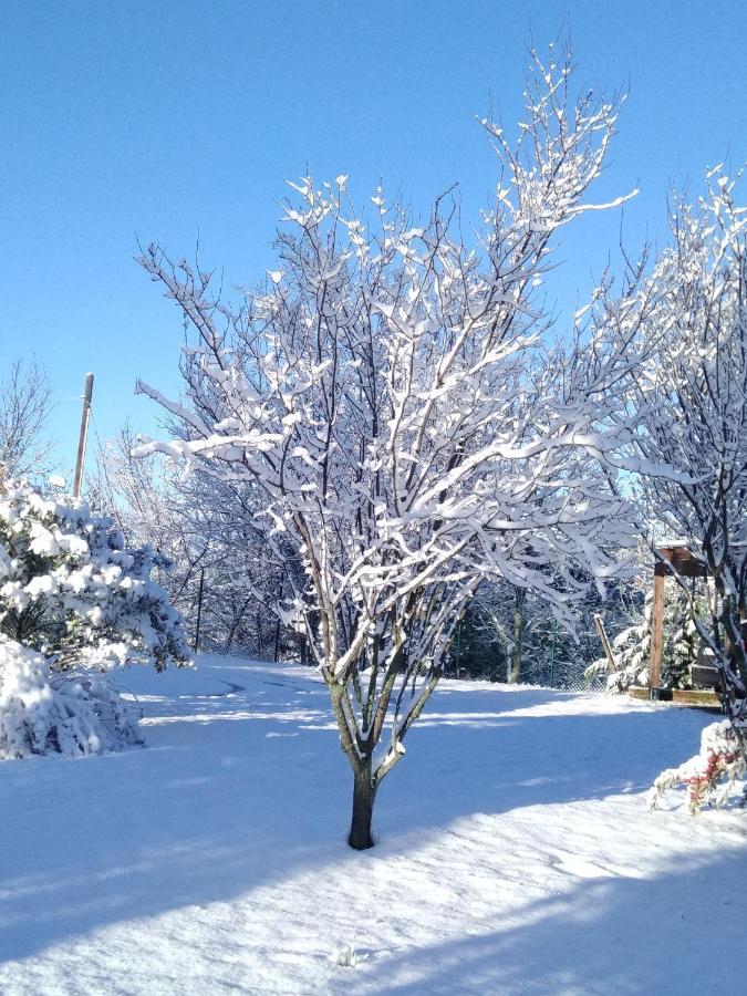 B&B Il Sogno Dovadola Kültér fotó