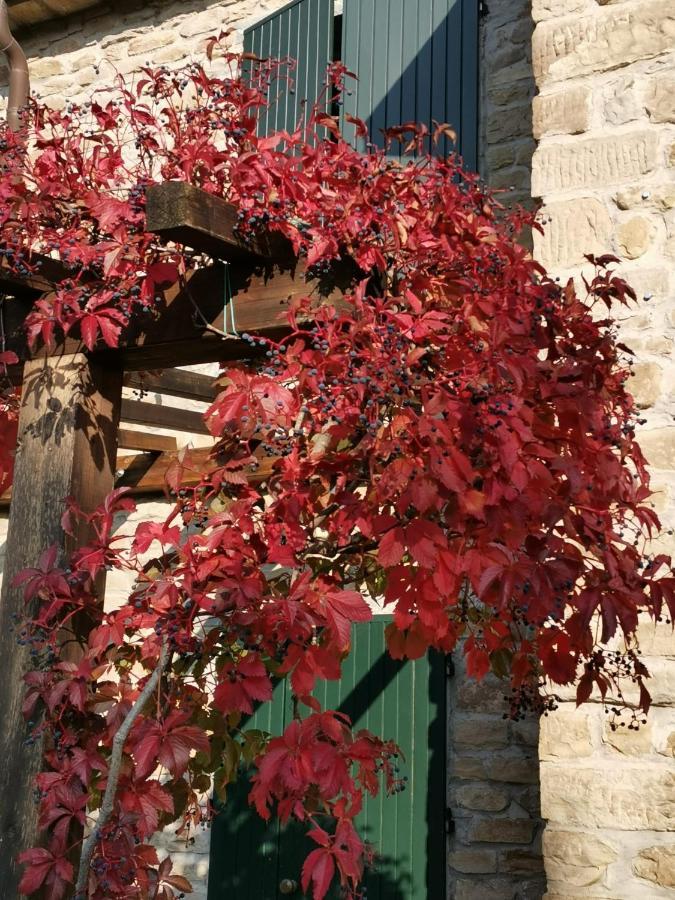 B&B Il Sogno Dovadola Kültér fotó